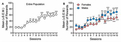 Dopamine D3 Receptor Antagonism Reverses the Escalation of Oxycodone Self-administration and Decreases Withdrawal-Induced Hyperalgesia and Irritability-Like Behavior in Oxycodone-Dependent Heterogeneous Stock Rats